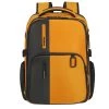 Samsonite BIZ2GO Laptop Backpack 15.6'' Daytrip Radient Yellow -Samsonite Winkel image 5353