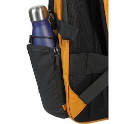 Samsonite BIZ2GO Laptop Backpack 15.6'' Daytrip Radient Yellow 26 Samsonite BIZ2GO Laptop Backpack 15.6'' Daytrip Radient Yellow -Samsonite Winkel image 5361